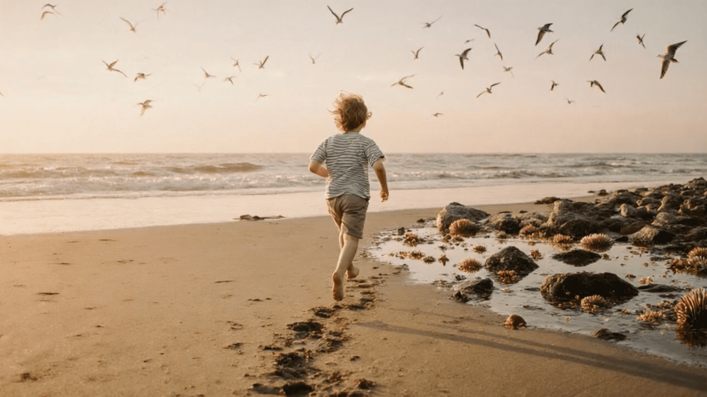 Dream Machine for Nonprofits & Awareness Campaigns